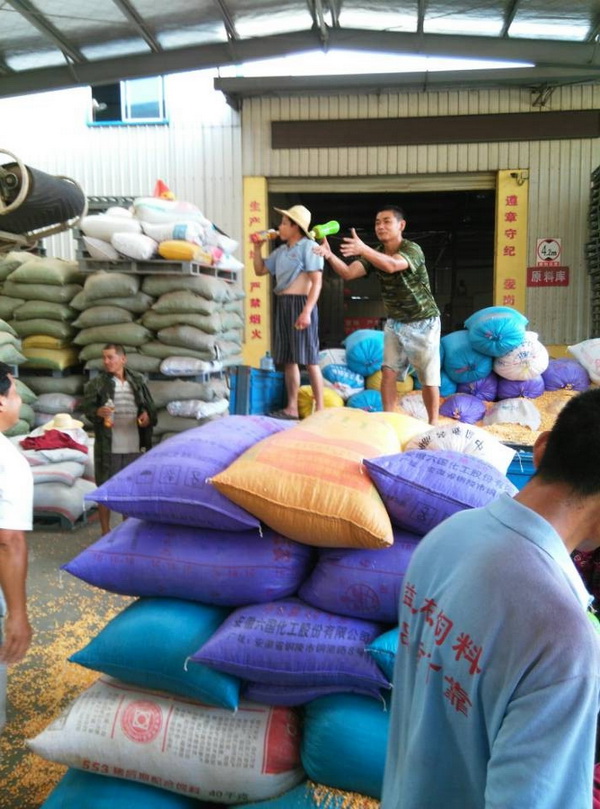 100205566.jpg 1552614645489486.jpg