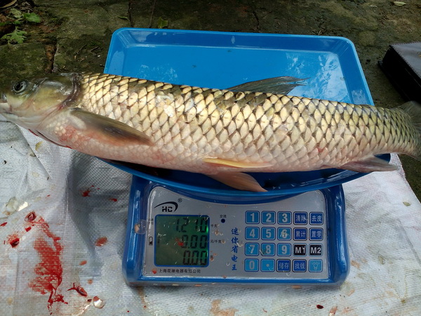 101910113.jpg 1552614947654083.jpg