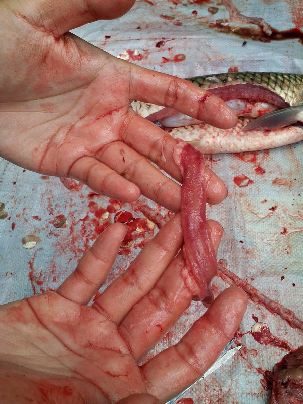 102021888.jpg 1552614973131918.jpg