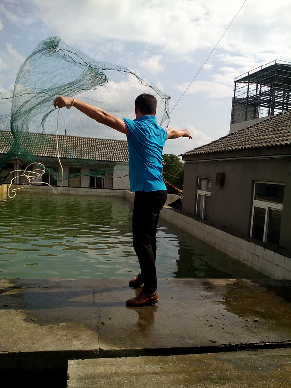 102146112.jpg 1552614996284224.jpg