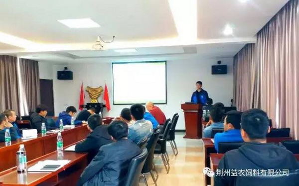 113731123.jpg 1552615353131113.jpg