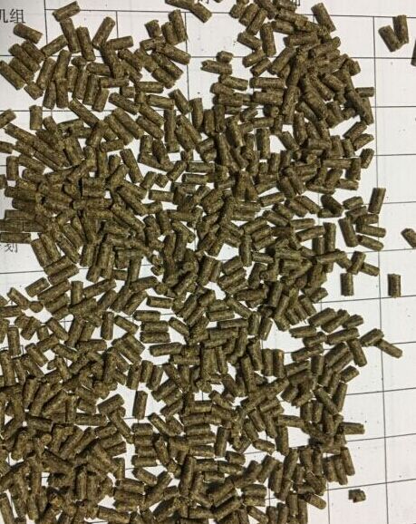 114454121.jpg 1552615387963352.jpg