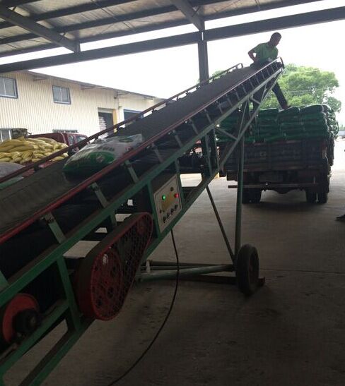 114811827.jpg 1552615387123707.jpg