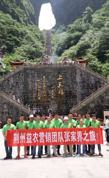 151146916.png 1552615448103839.png