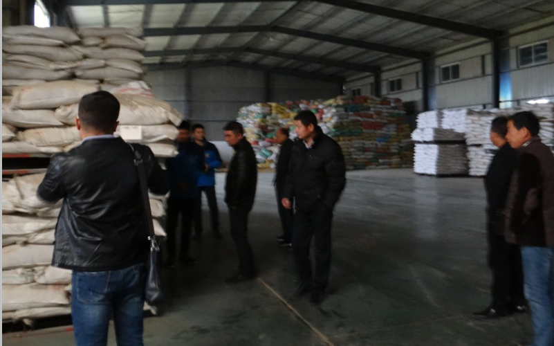 161641772.png 1552615679391589.png