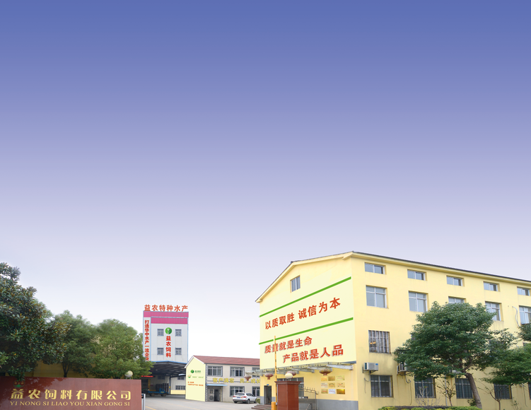 162958370.png 1552615767296058.png